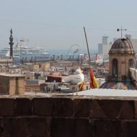 Barcelona, Catedral la Seu, Blick über das Dach.
