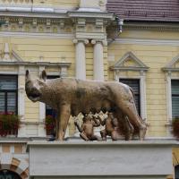 Braşov, Wolfsstatue Rom.