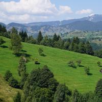 Weg nach Curtea de Argeș.