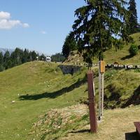 Weg nach Curtea de Argeș.