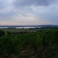 Horní Vestonice, Panoramablick über Weinberg und See.