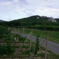 Horní Vestonice, Weinberge mit Hausberg.