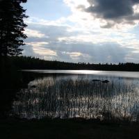 Schöne Gegend zwischen Söderhamn und Gävle.
