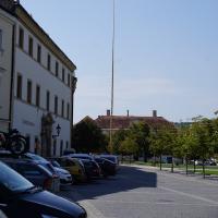 Valtice, Maibaum.