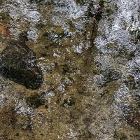 Lindow, Wutzsee: Reflektionen im Zulauf.