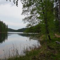 See in Punkaharju.
