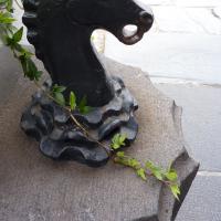 Pferdekopfbronze im Hafen Stockholm.