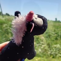 Herr Ringelhorn schaut aus dem Zugfenster